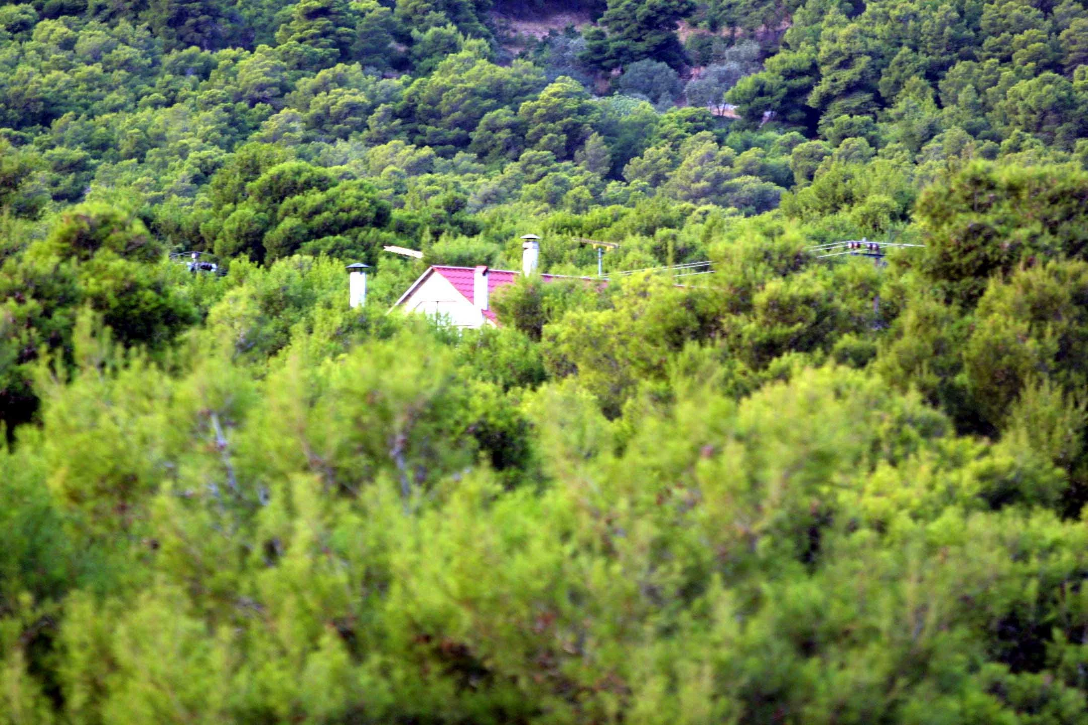 Τριπλή παράταση για δασικούς χάρτες